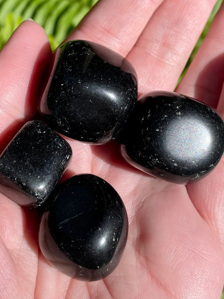 Black Obsidian Tumbled Stones - Morganna’s Treasures 