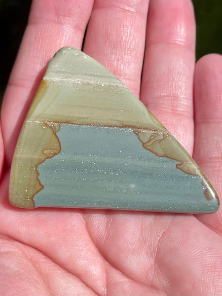 Succor Creek Picture Jasper Palm Stone - Morganna’s Treasures