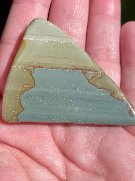 Succor Creek Picture Jasper Palm Stone - Morganna’s Treasures