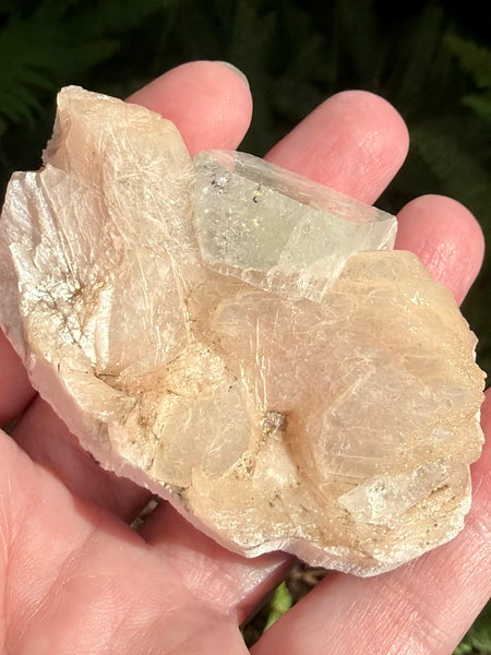 Apophyllite with Stilbite Crystal Cluster - Morganna’s Treasures
