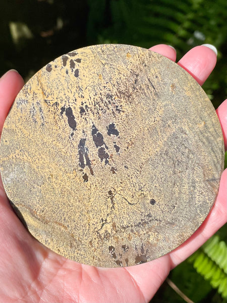 Picture Jasper Charging Plate