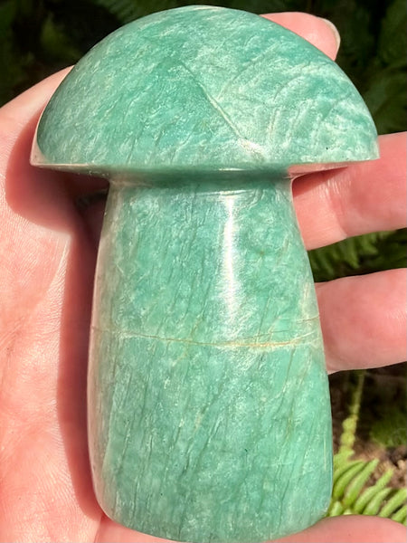 Stunning Amazonite Mushroom - Morganna’s Treasures