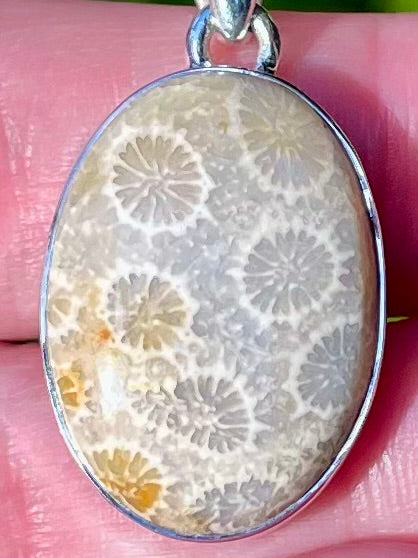Fossil Coral Pendant