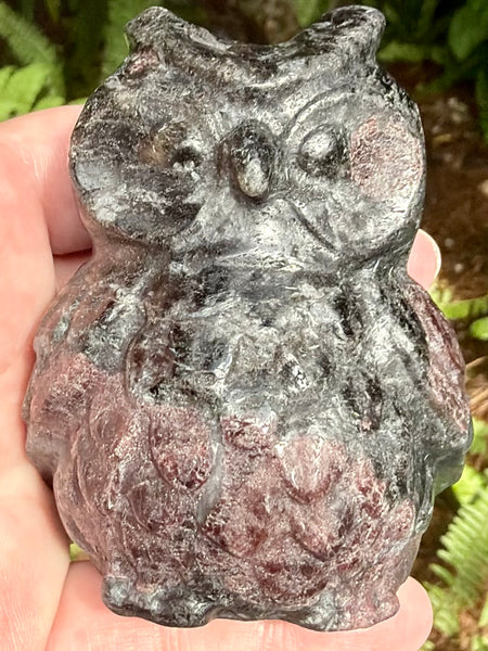 Large Garnet in Arfvedsonite Owl