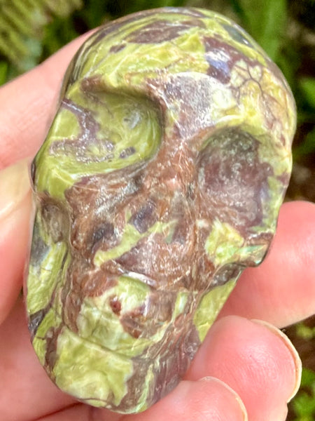 Money Agate Skull