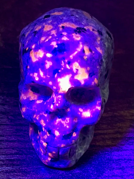 Carved Yooperlite (Fluorescent Sodalite)  Skull - Morganna’s Treasures 