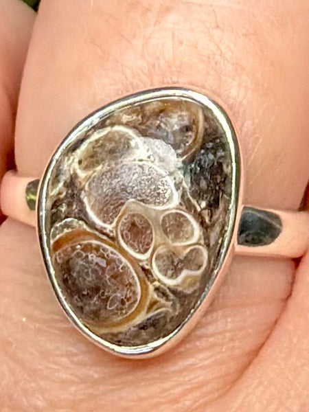 Turritella Agate Ring Size 8