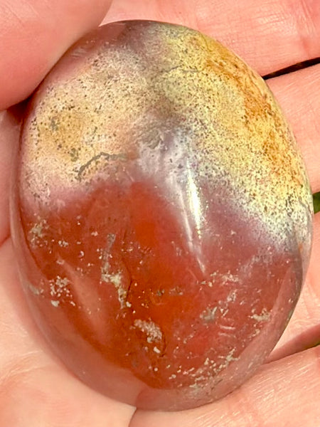Ocean Jasper Palm Stone