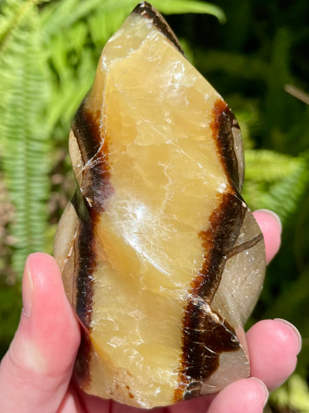 Septarian (Dragon's Stone) Flame - Morganna’s Treasures