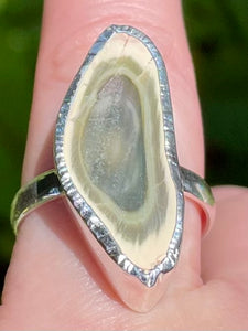 Imperial Jasper Ring Size 7 - Morganna’s Treasures 