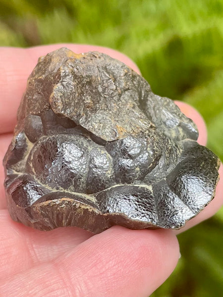 Botroyoidal Hematite from Morocco - Morganna’s Treasures 