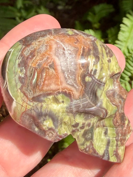 Money Agate Skull - Morganna’s Treasures