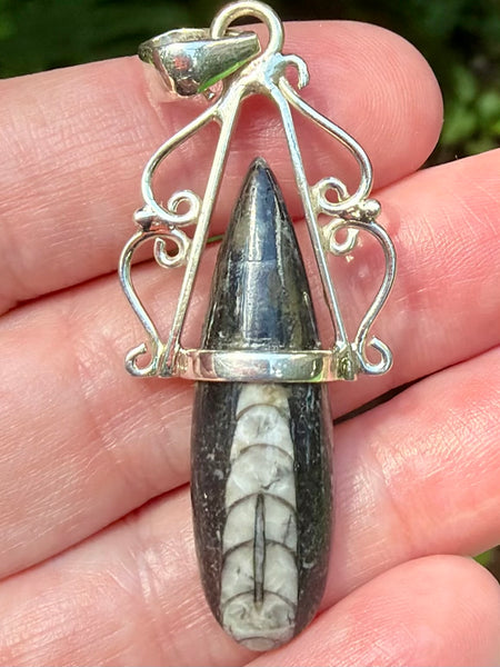 Gorgeous Orthoceras Fossil Pendant