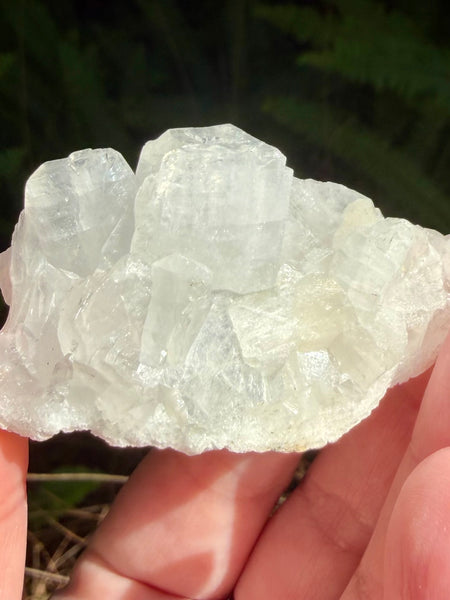 Apophyllite Cluster - Morganna’s Treasures