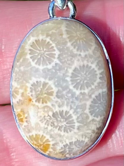 Fossil Coral Pendant