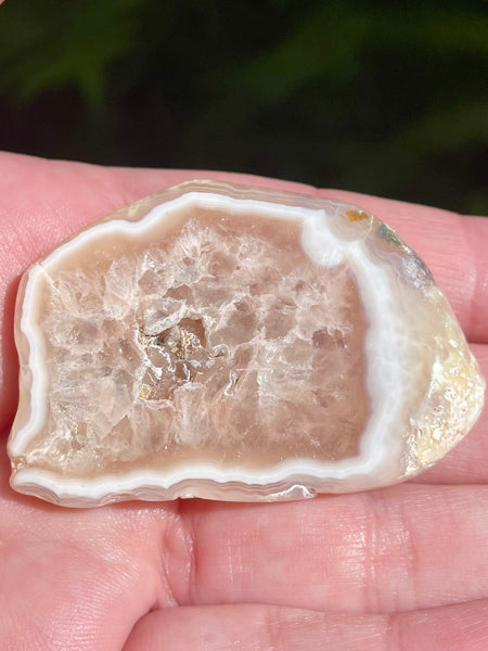 Agate Palm Stone - Morganna’s Treasures