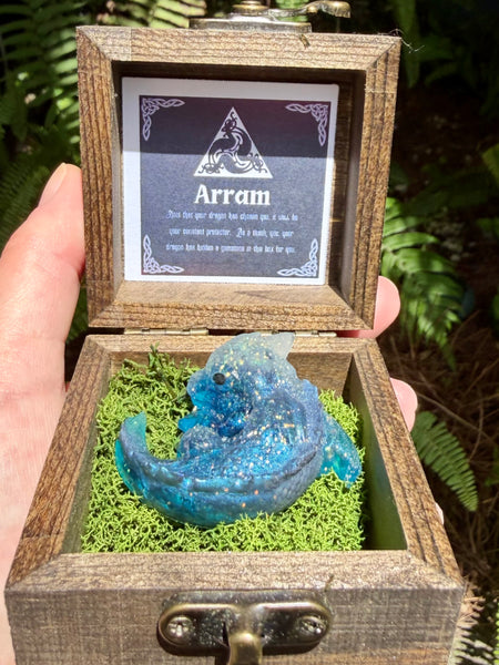 “Arram” Dragon Protector