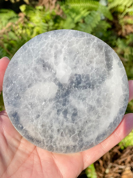 Black Onyx and Selenite Tree of Life Round Charging Plate