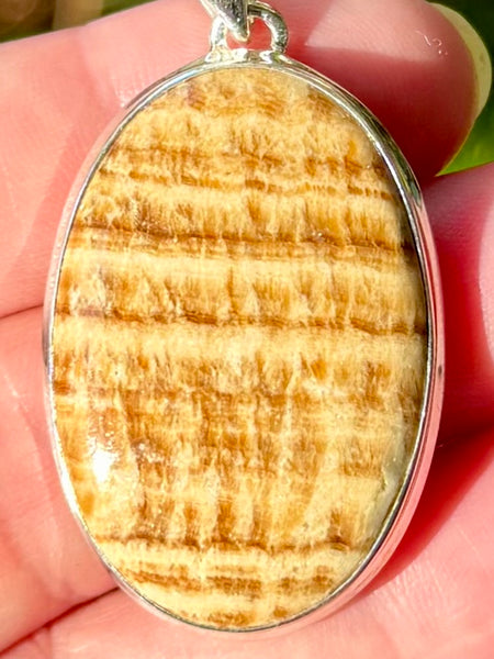 Candy Aragonite Pendant
