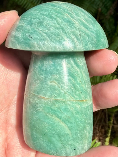 Stunning Amazonite Mushroom - Morganna’s Treasures