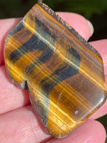 Gold Tigers Eye Palm Stone from Africa - Morganna’s Treasures