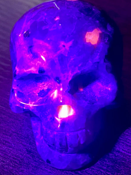 Carved Yooperlite (Fluorescent Sodalite)  Skull - Morganna’s Treasures 