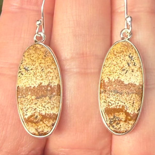 Picture Jasper Earrings - Morganna’s Treasures