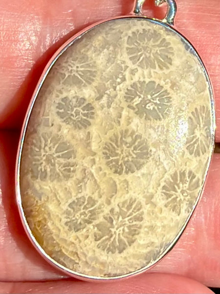 Fossil Coral Pendant