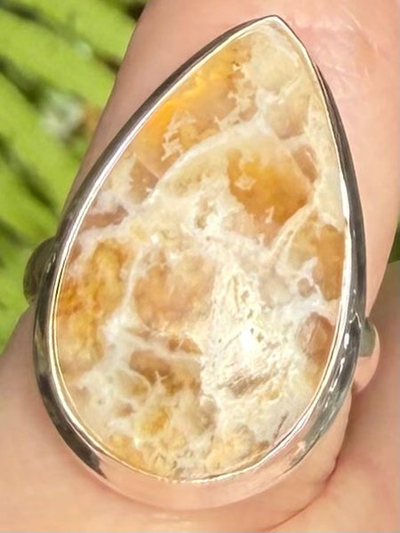 Graveyard Plume Agate Ring Size 6 - Morganna’s Treasures