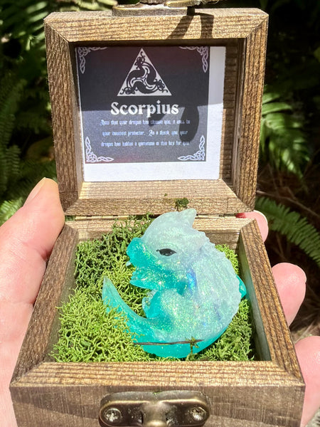 “Scorpius” Dragon Protector