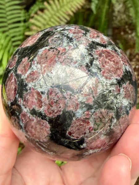 Large Garnet in Astrophyllite Sphere