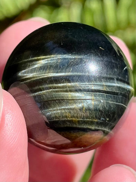 Blue Tigers Eye (Hawk’s Eye) Sphere - Morganna’s Treasures 