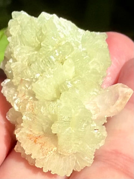 Prehnite Cluster