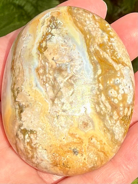 Ocean Jasper Palm Stone
