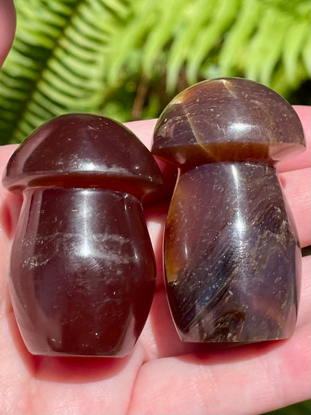 Fluorescent Blue Amber Mushroom - Morganna’s Treasures