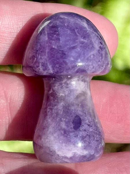 Small Amethyst Mushroom