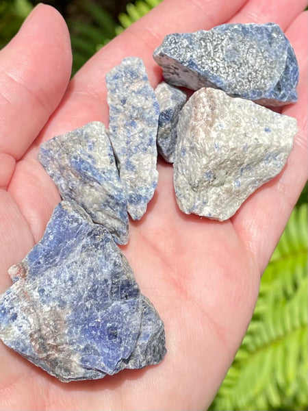 Small Rough Sodalite - Morganna’s Treasures 