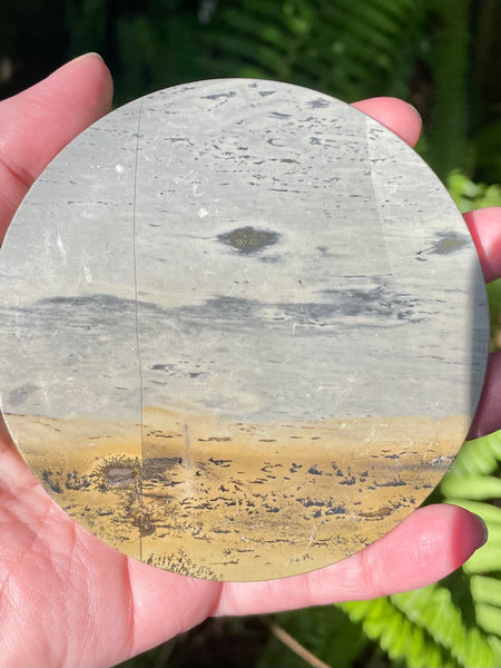 Picture Jasper Charging Plate