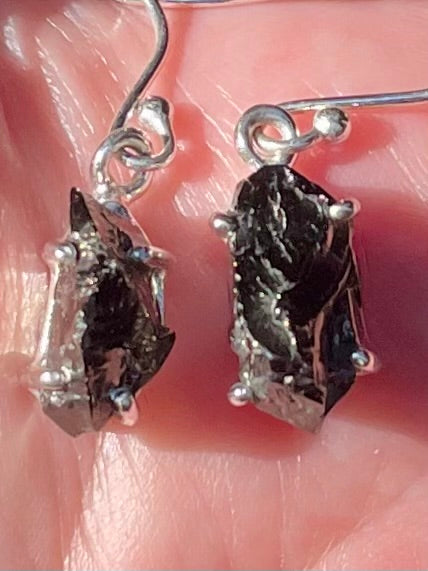 Rough Elite Russian Shungite Earrings - Morganna’s Treasures
