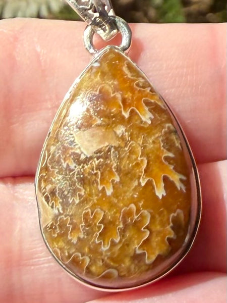 Sutured Ammonite Pendant - Morganna’s Treasures