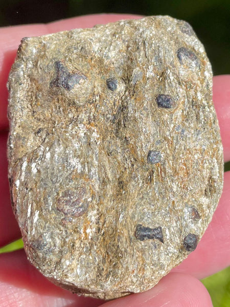 Beautiful Garnet with Mica Schist Palm Stone - Morganna’s Treasures