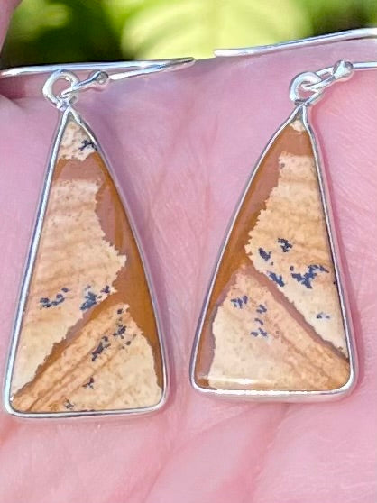 Picture Jasper Earrings - Morganna’s Treasures