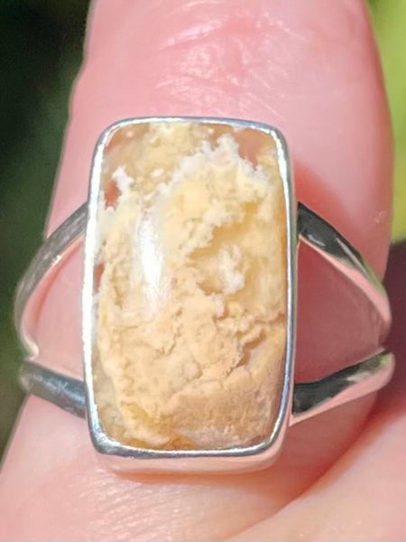 Graveyard Plume Agate Ring Size 6 - Morganna’s Treasures