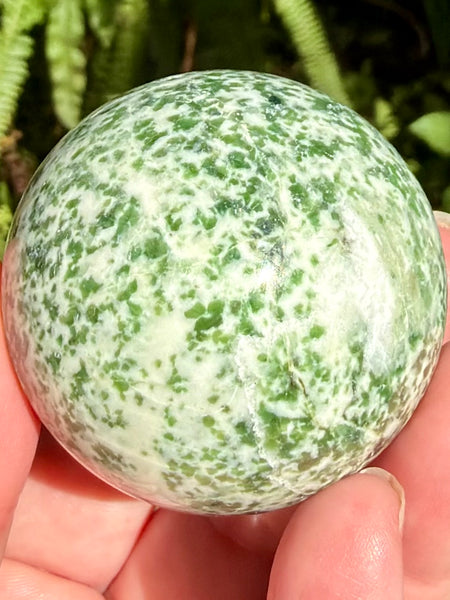 Tree Agate Sphere