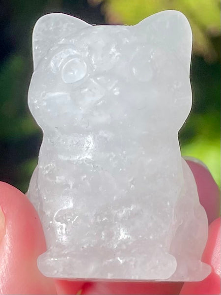 Clear Quartz Carved Cat - Morganna’s Treasures 