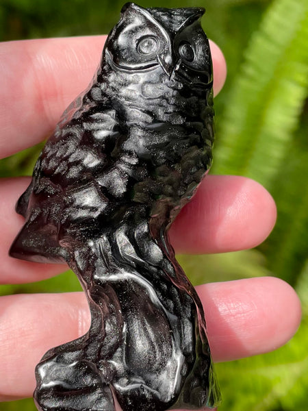 Black Obsidian Owl - Morganna’s Treasures