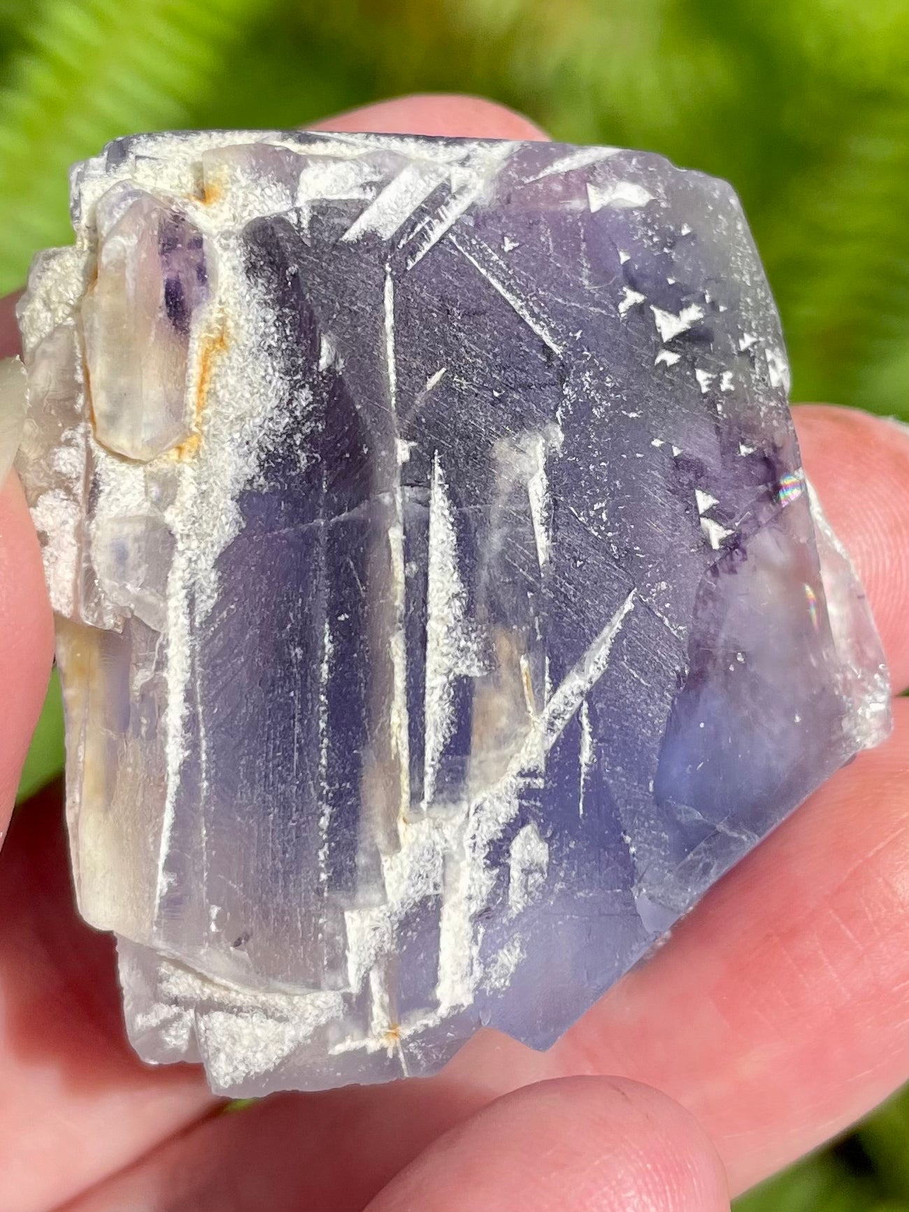 Fluorite Palm Stone - Morganna’s Treasures 
