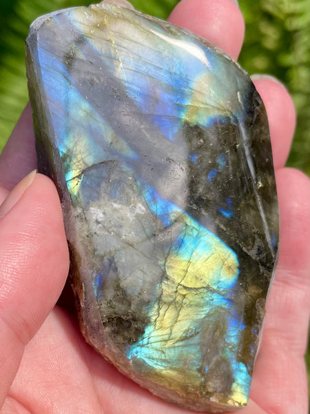 Gorgeous Labradorite Slab - Morganna’s Treasures 