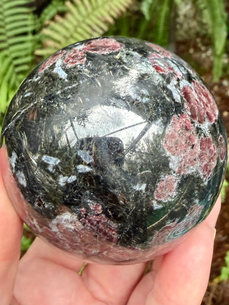 Large Garnet in Astrophyllite Sphere