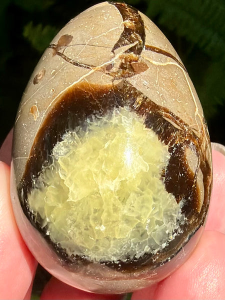 Septarian (Dragon Stone) Egg - Morganna’s Treasures